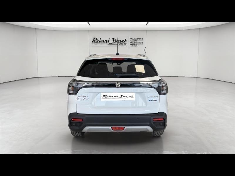 suzuki - Visuel 5