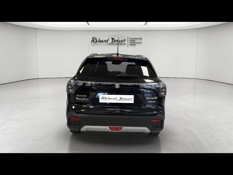 suzuki - Visuel 5
